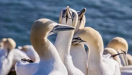 永康伴游,定制QQ:3494206190微信:act1322